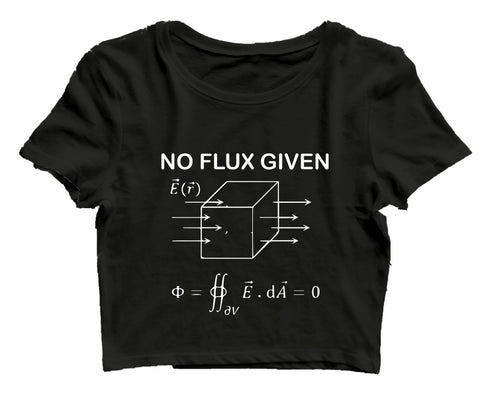 Quirkipedia I DON'T GIVE A FLUX PHYSICS Science, Nerd, Geeky Womens Crop Tops