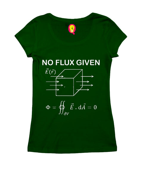 Quirkipedia I DON'T GIVE A FLUX PHYSICS Science, Nerd, Geeky Womens Tshirts