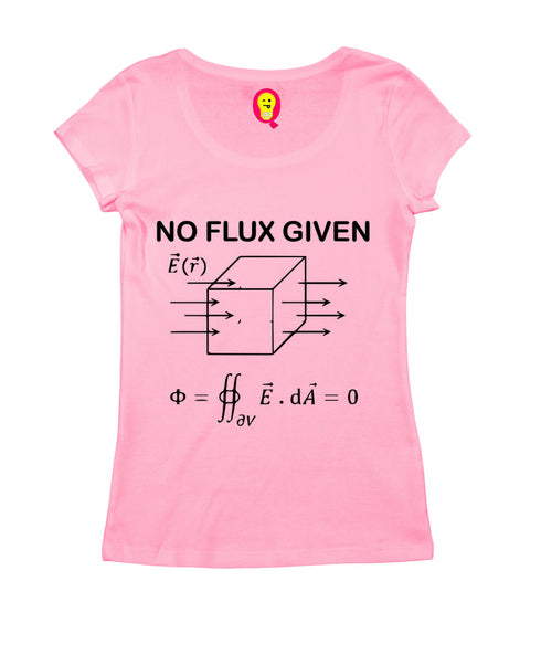 Quirkipedia I DON'T GIVE A FLUX PHYSICS Science, Nerd, Geeky Womens Tshirts