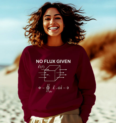 Aaramkhor I DON'T GIVE A FLUX PHYSICS Science, Nerd, Geeky winter 23 Unisex Sweatshirts